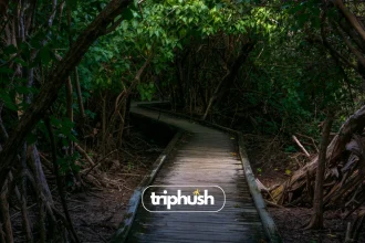 Hidden Gems Underrated Places You Need to See