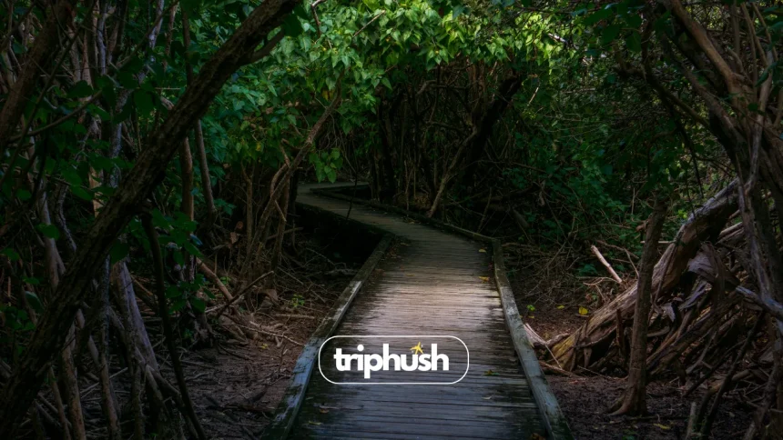 Hidden Gems Underrated Places You Need to See