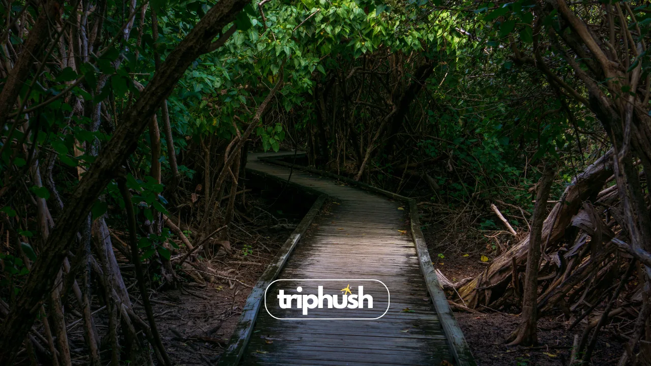 Hidden Gems Underrated Places You Need to See