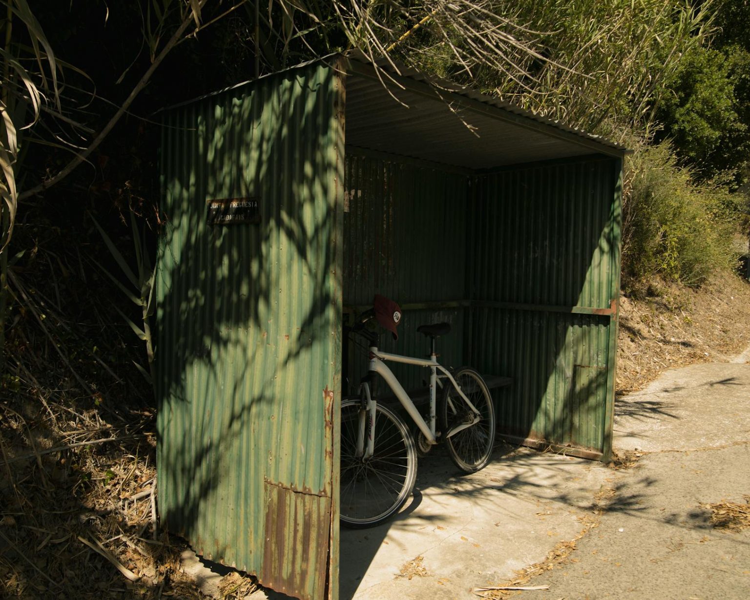A green corrugated metal bus stop sheltering a bicycle on a sunny summer day.