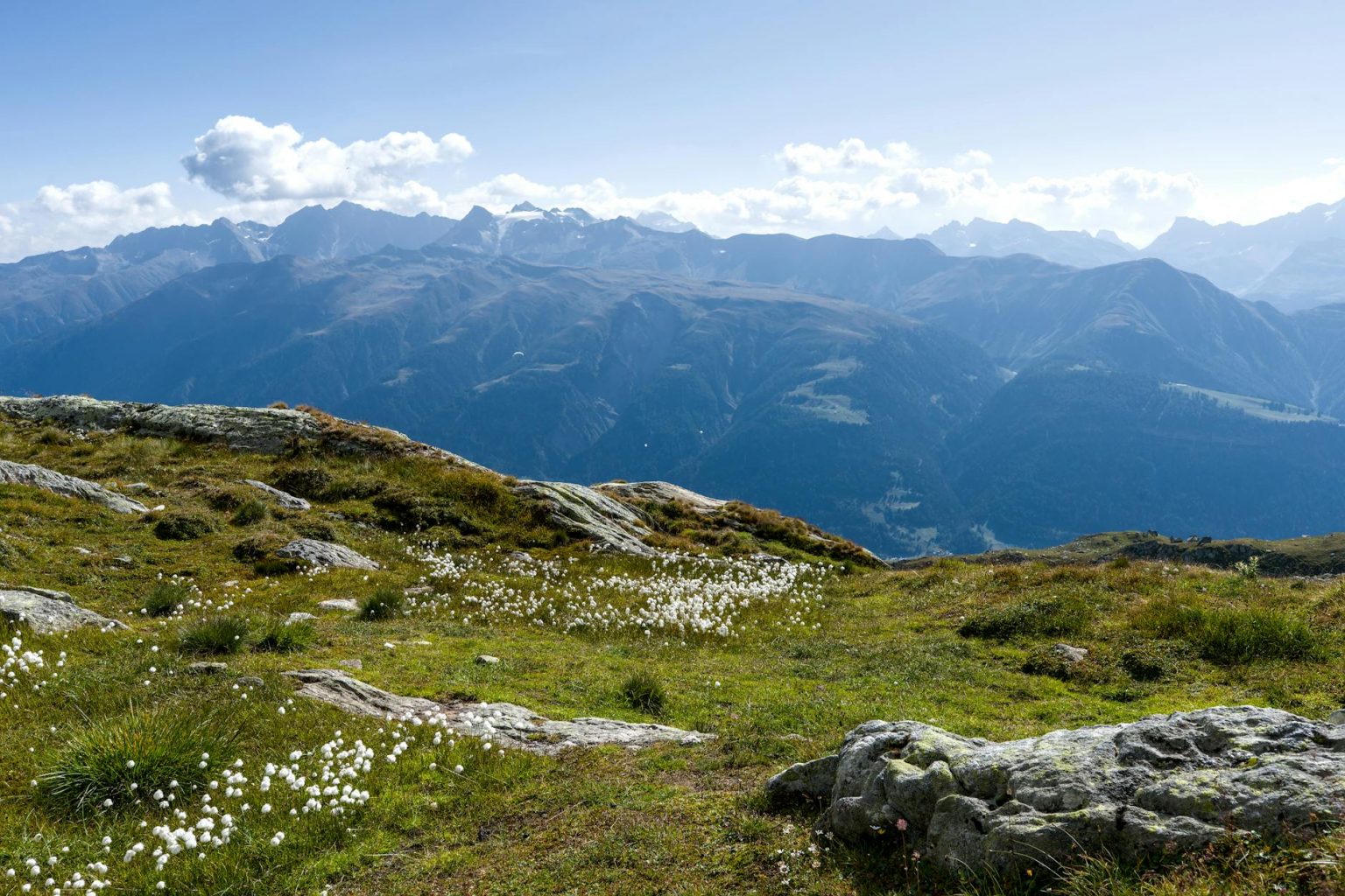 Breathtaking view of the Swiss Alps with clear skies and wildflowers in the foreground.