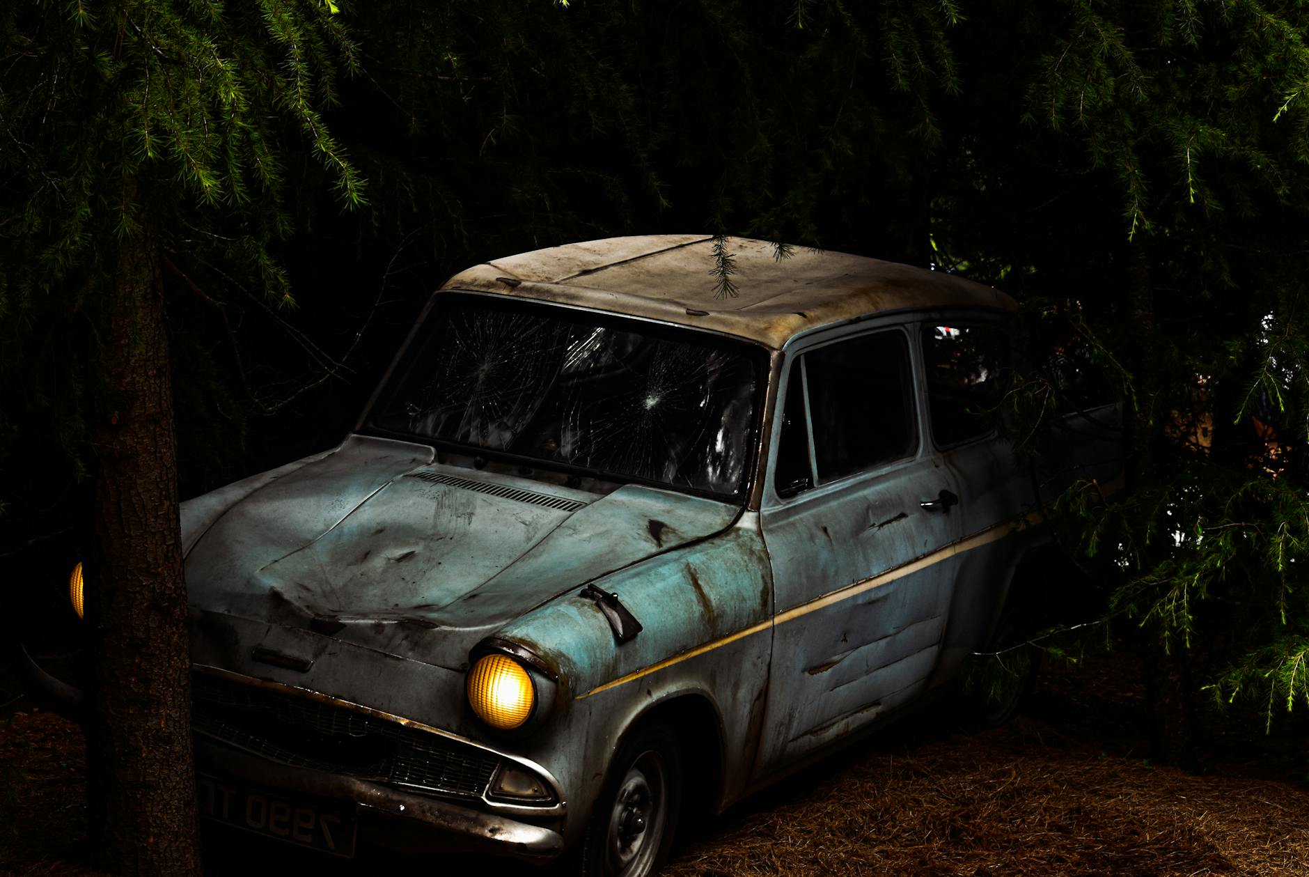Explore the eerie charm of a vintage rusty car nestled in an overgrown forest setting.