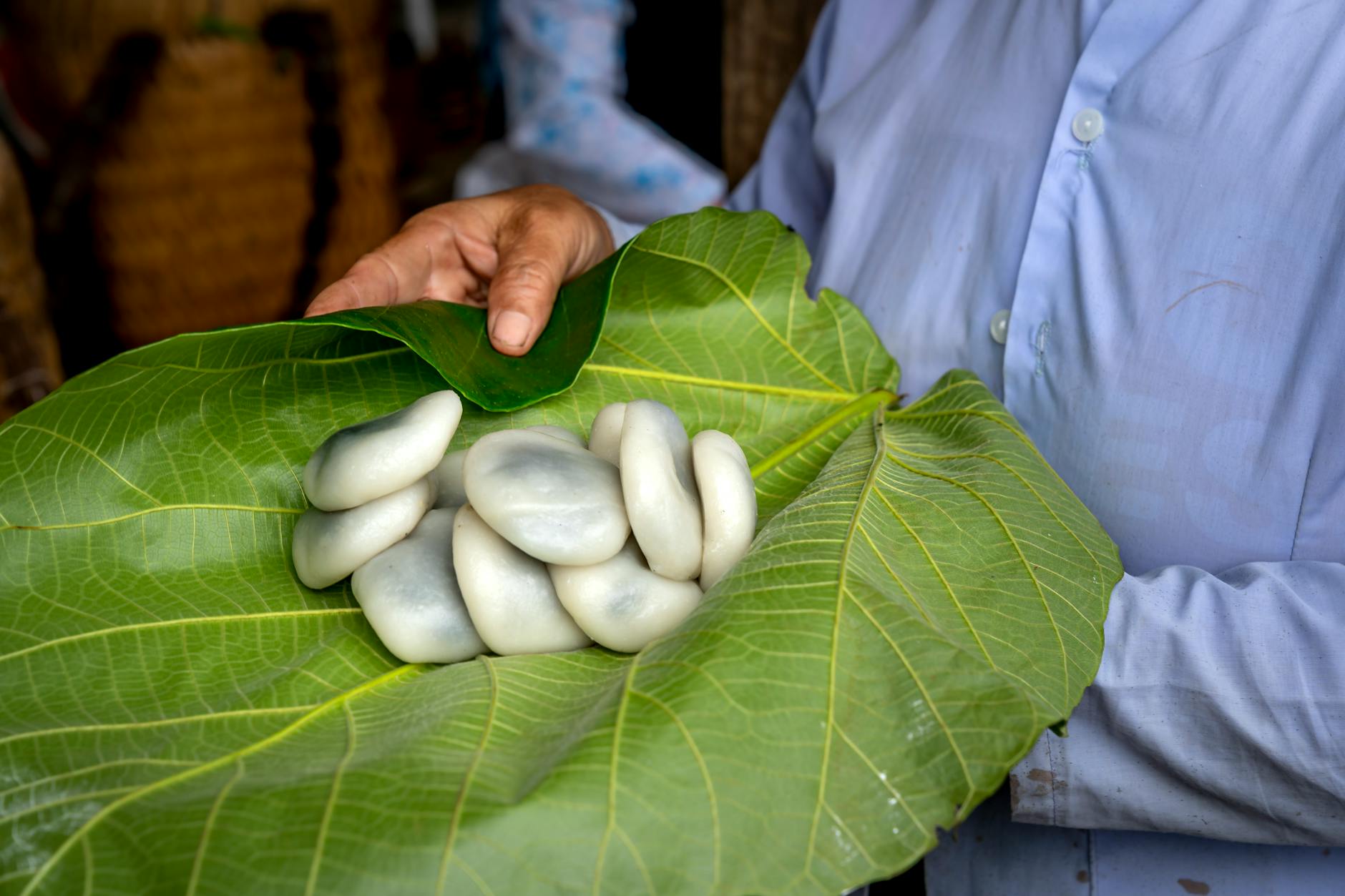 Close-up of traditional Vietnamese rice cakes served on a large green leaf, symbolizing cultural cuisine.