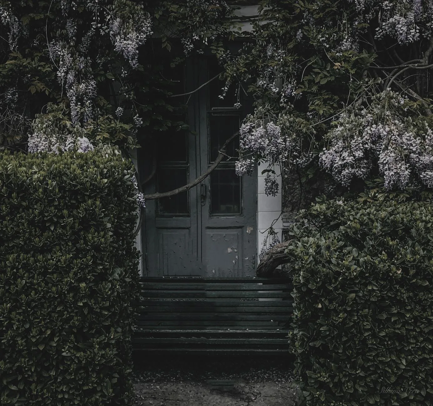Mystical wooden door covered by climbing plants and flowers, creating an enchanted entrance.