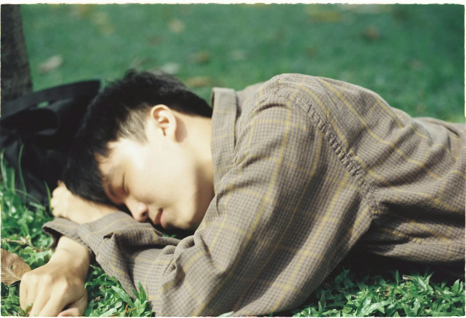 A young man peacefully sleeping on green grass in a sunny outdoor park.