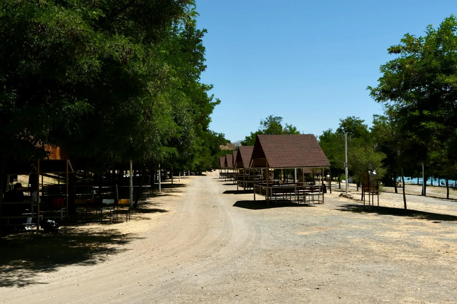Outdoor picnic area with trees and empty tables on a sunny day, perfect for gatherings.