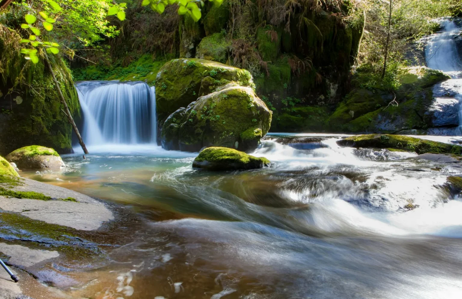 A tranquil forest scene with a cascading waterfall and moss-covered rocks.