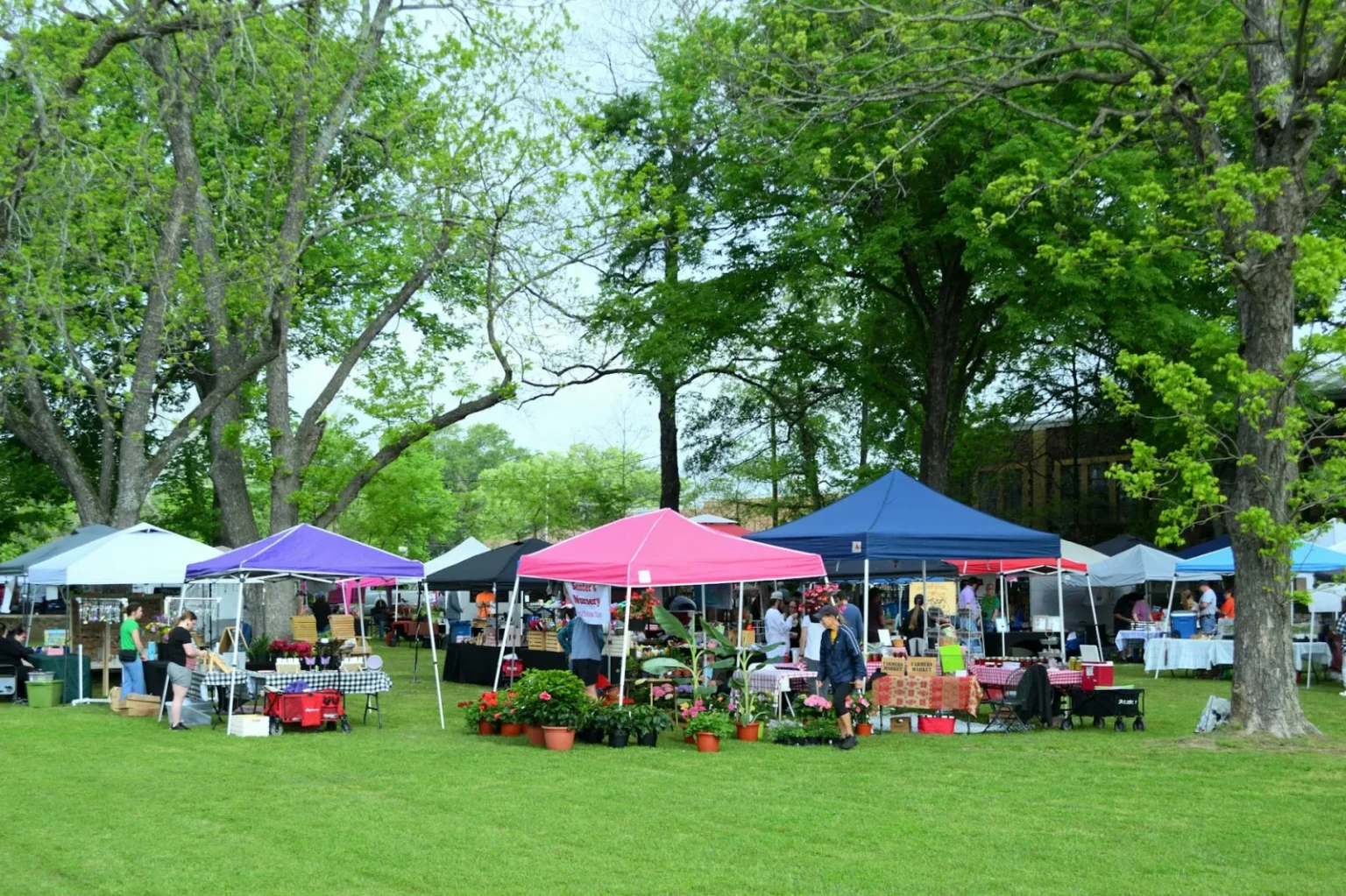 A bustling outdoor market with colorful tents and visitors in Whitehouse, Texas.