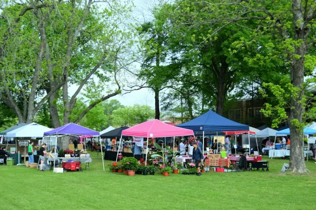 A bustling outdoor market with colorful tents and visitors in Whitehouse, Texas.