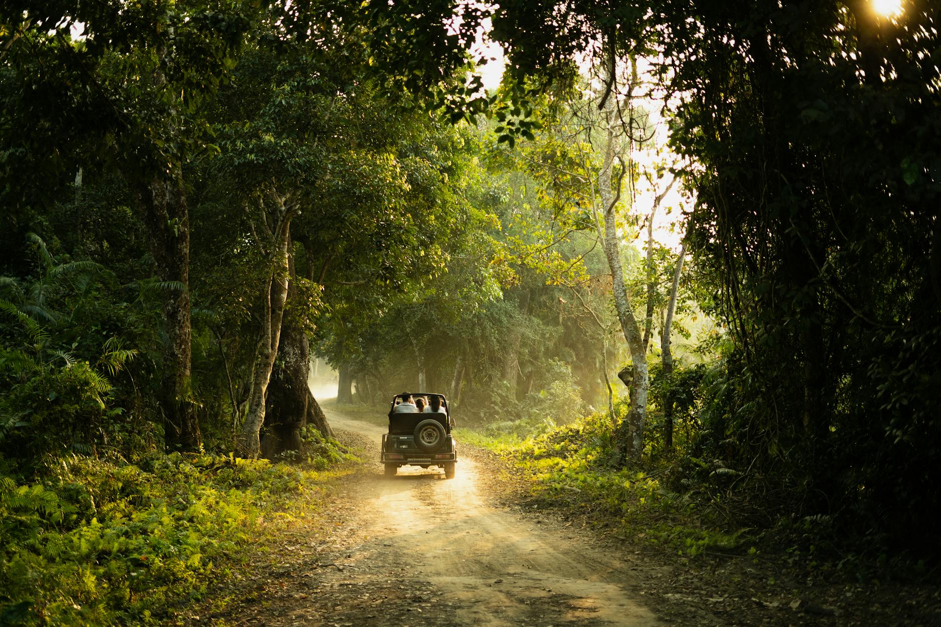 A jeep navigates a serene forest path during sunset, creating an adventurous ambiance.