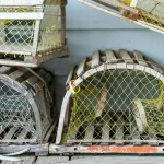 Stacked wooden crab traps with yellow netting, highlighting traditional fishing equipment.