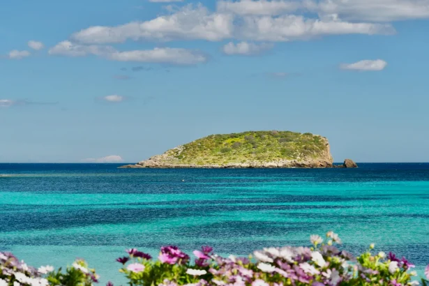 Picturesque island view with turquoise sea and coastal flowers.