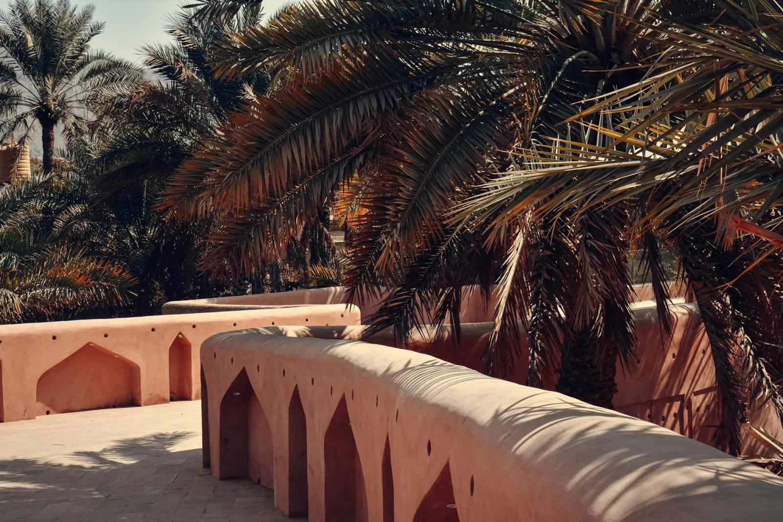 Serene Omani palm grove with traditional architecture, bathed in warm sunlight.