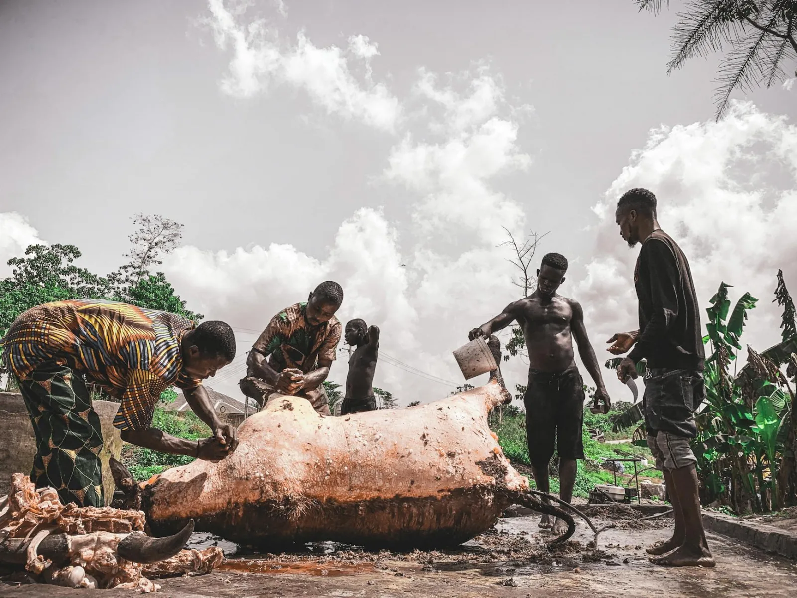 Men engaged in traditional animal processing outdoors in Egbado South, Nigeria.