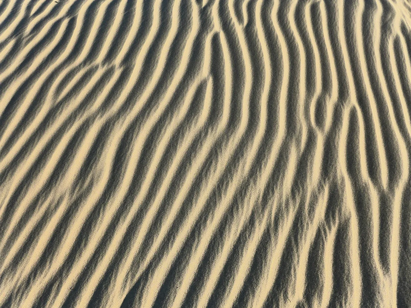 Close-up of desert sand dunes showcasing natural patterns and textures.