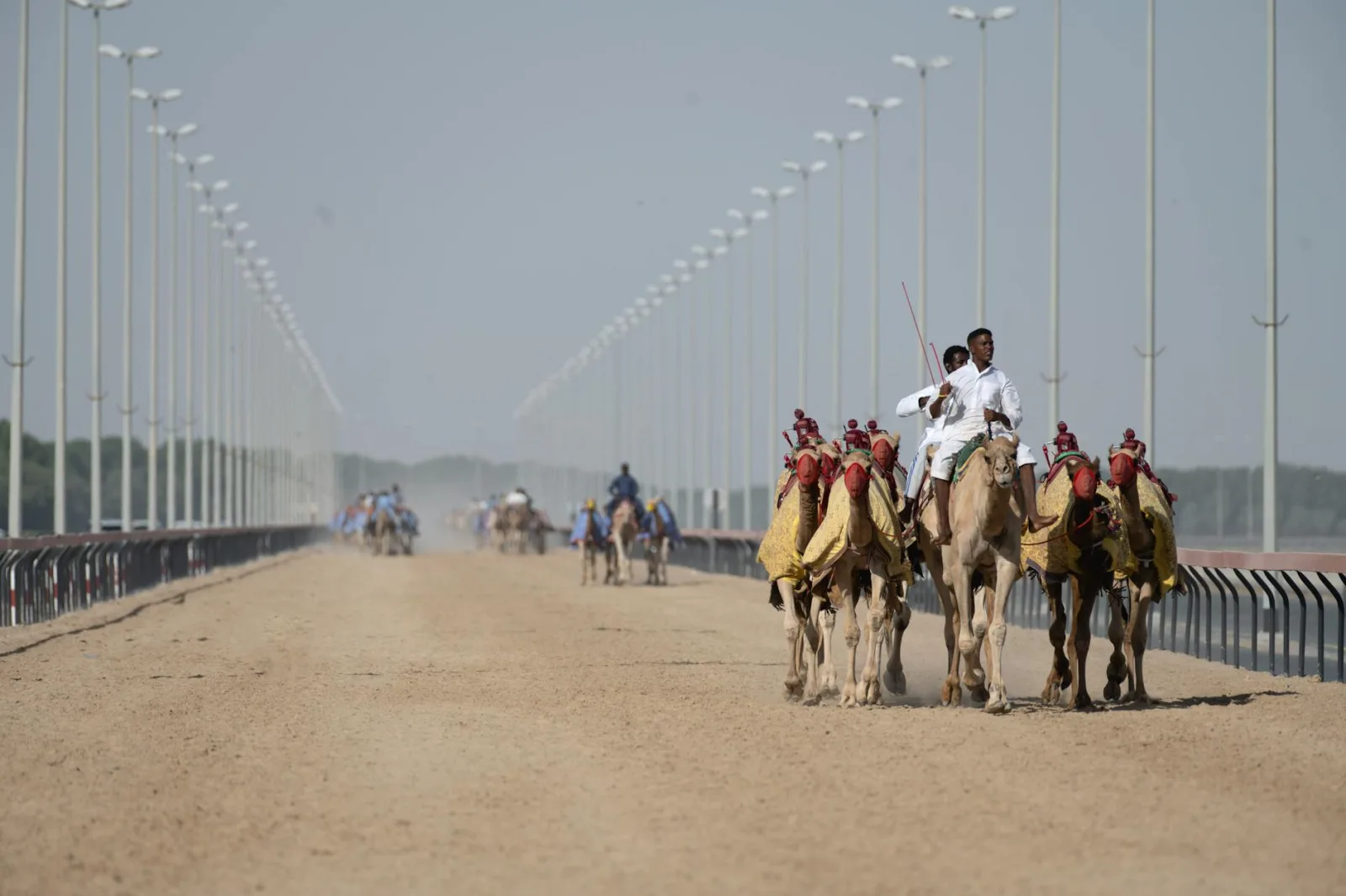 Exciting camel race on a sandy track in Dubai, showcasing Arabian culture and tradition.