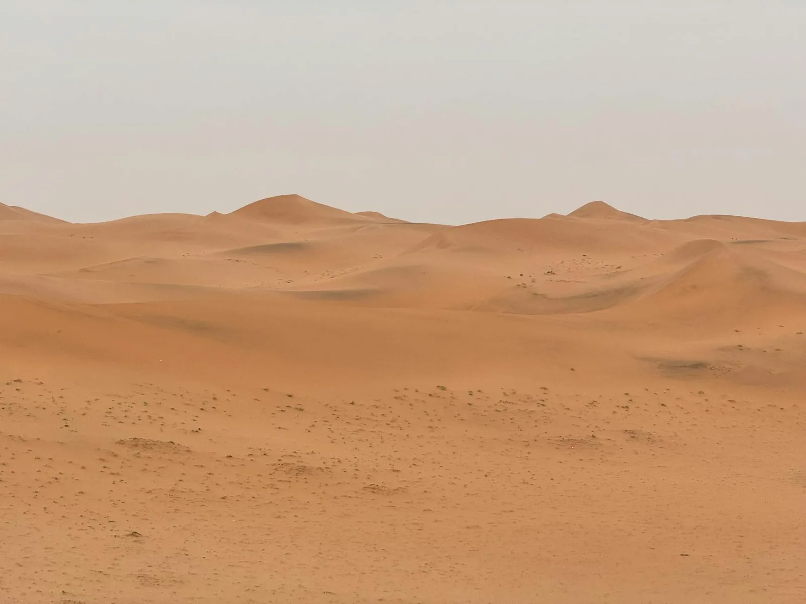 A vast and tranquil desert landscape with rolling sand dunes in Riyadh, Saudi Arabia.