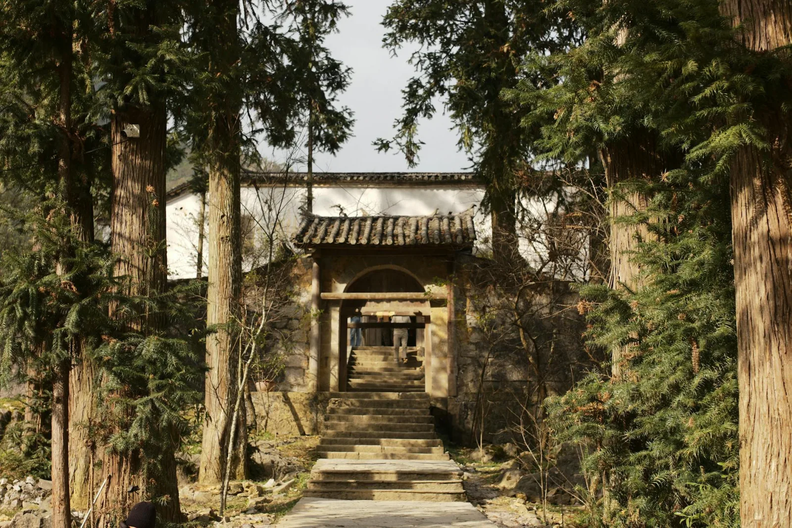 A beautiful historic temple in Hà Giang, Vietnam surrounded by lush trees, showcasing ancient architecture.