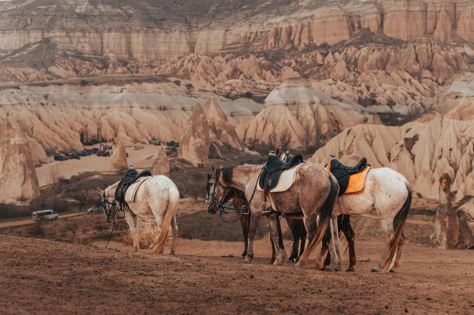A group of saddled horses standing in Cappadocia's stunning rocky terrain during the day.