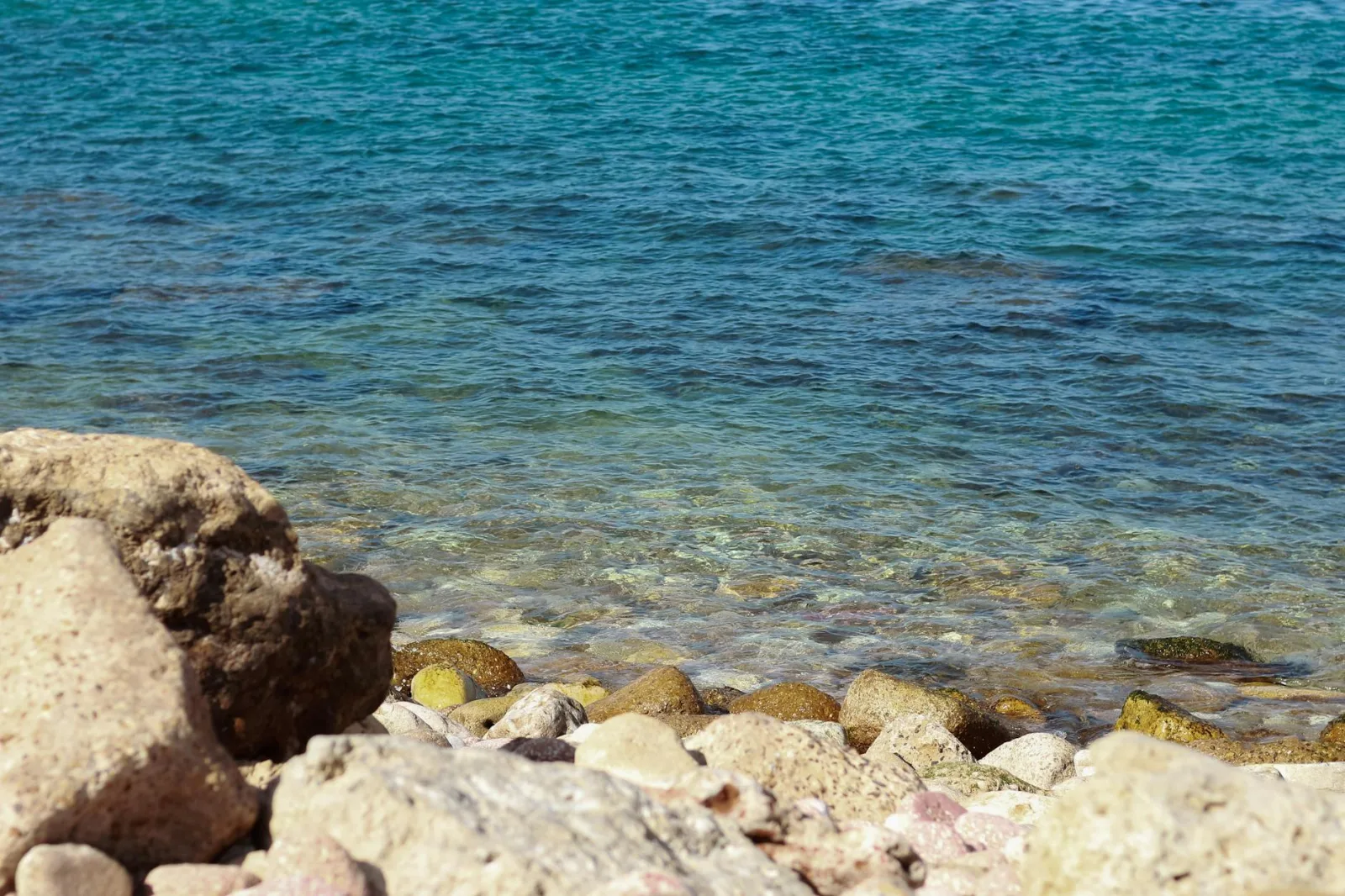 Rocky beach with clear blue water in Alexandria, Egypt, showcasing natural beauty and summer vibes.