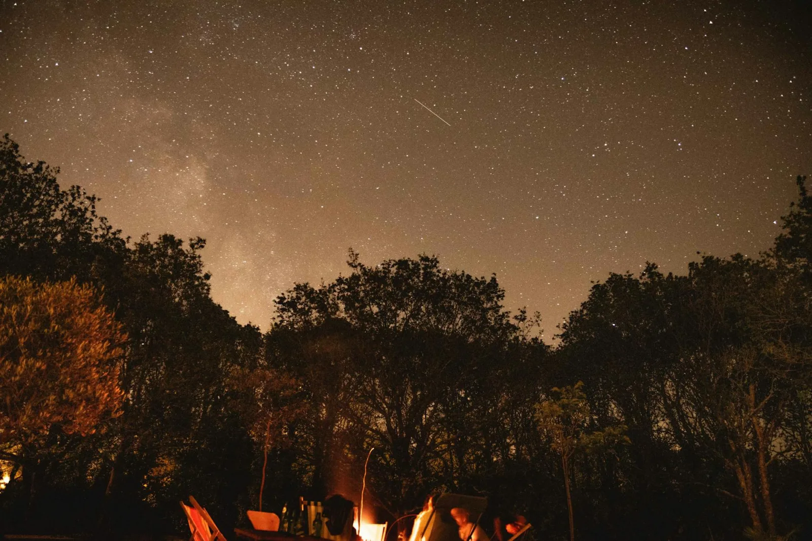A serene night scene featuring a campfire under a starry sky in a forest.