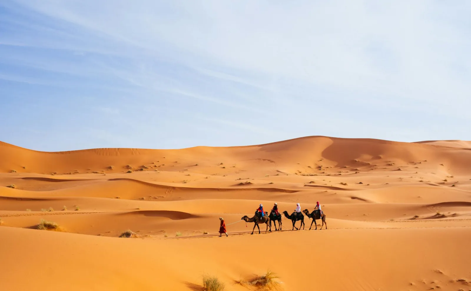 Tourists riding camels across the dunes of Merzouga, Morocco, a popular Sahara destination.
