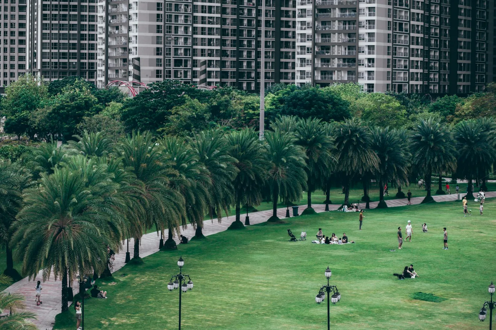 A vibrant urban park with people, palm trees, and modern skyscrapers in the background.