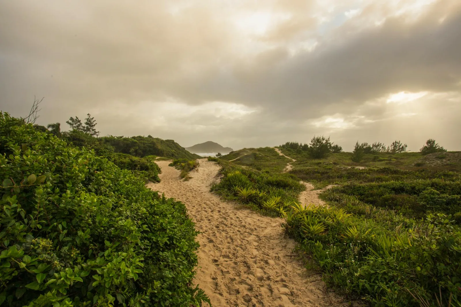 A tranquil sandy path winds through lush greenery under a dramatic sunset sky.