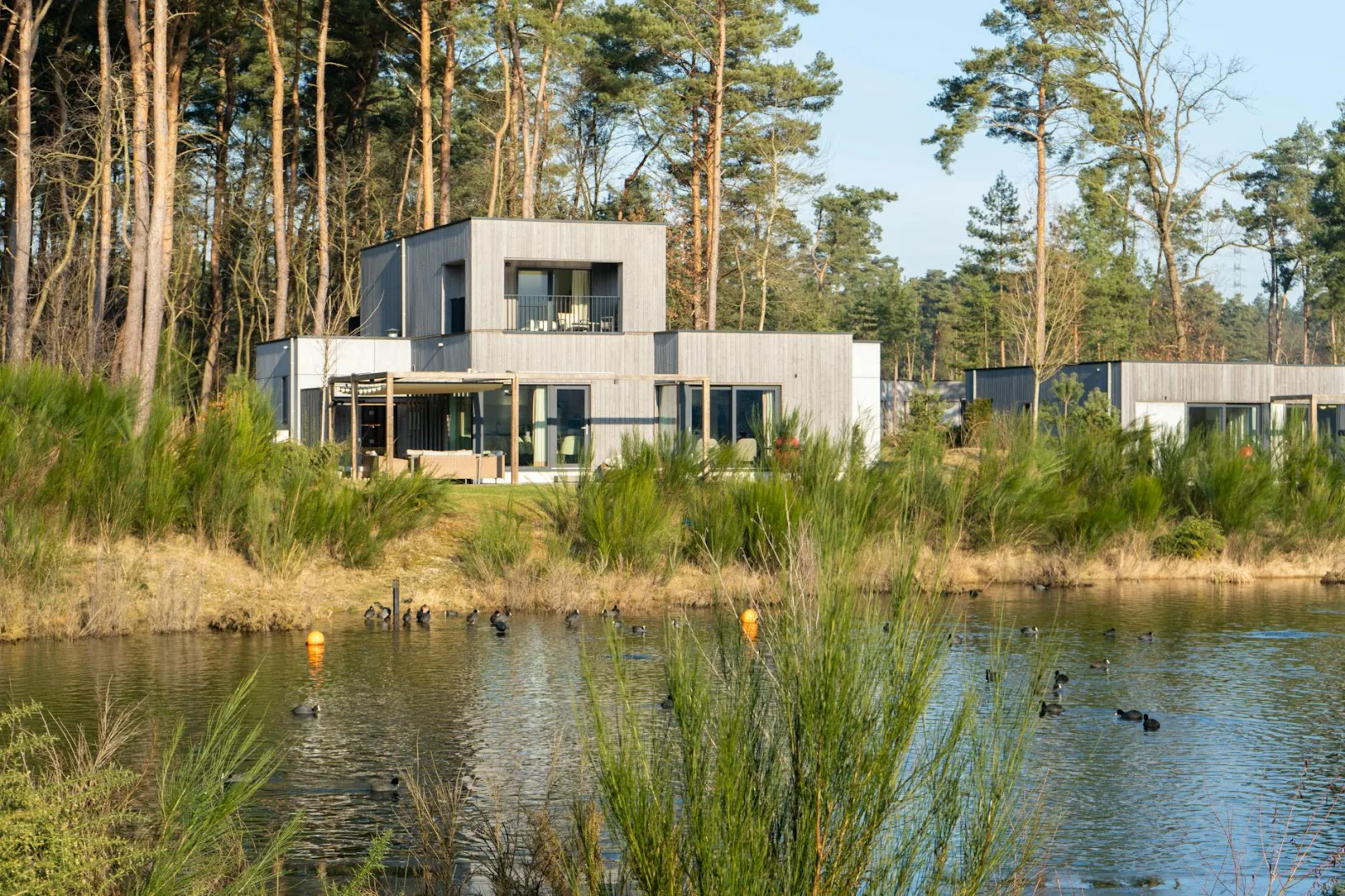 Contemporary villas nestled in a serene forest by a tranquil lake in Maasmechelen, Belgium.