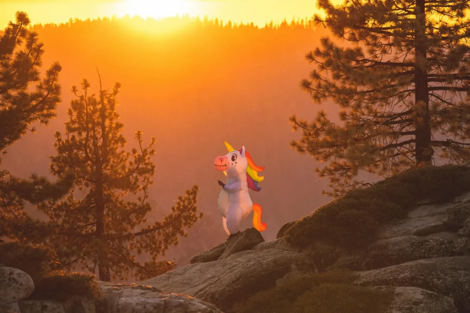 Vibrant unicorn stands amid trees and rocks as the sunset casts a golden hue over the forest.