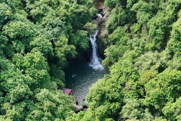 A picturesque aerial view of a waterfall surrounded by dense green forest and visible swimmers.