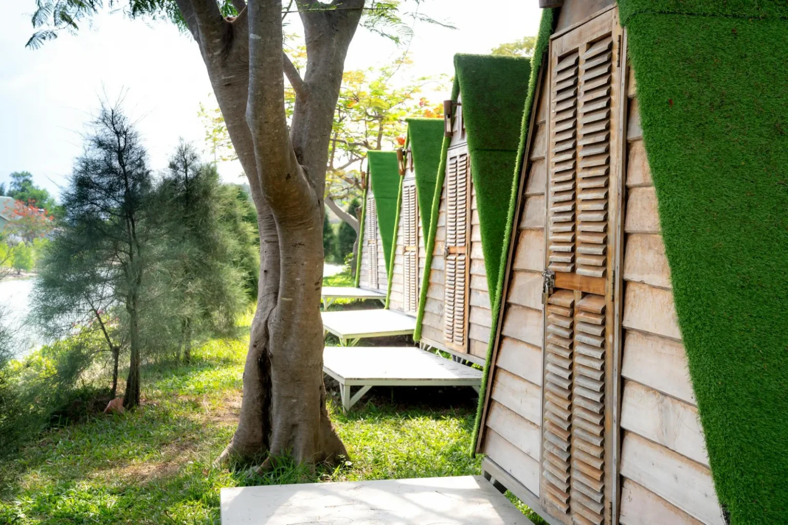 Picturesque view of wooden houses placed in row on green coast of calm river in campsite on sunny summer day