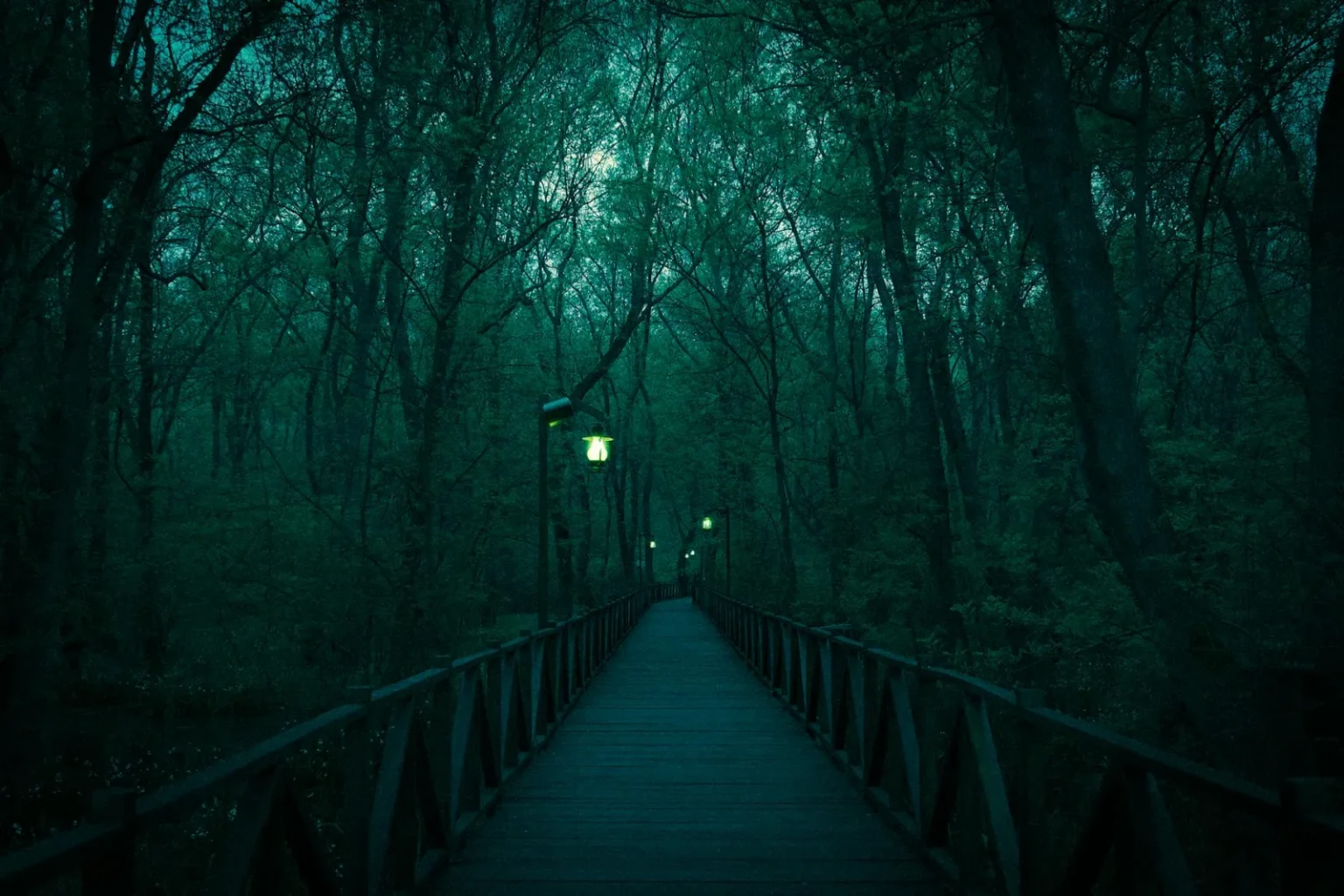 A foggy forest pathway illuminated by vintage lanterns creating a mystic atmosphere.