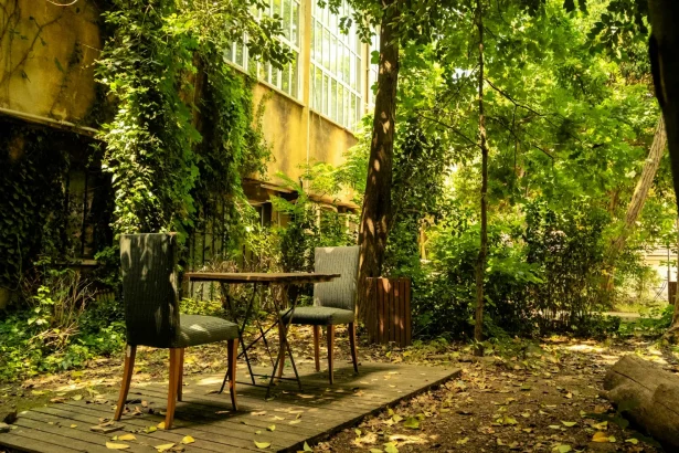 Charming outdoor seating in lush greenery, perfect for a relaxing café experience in İstanbul.