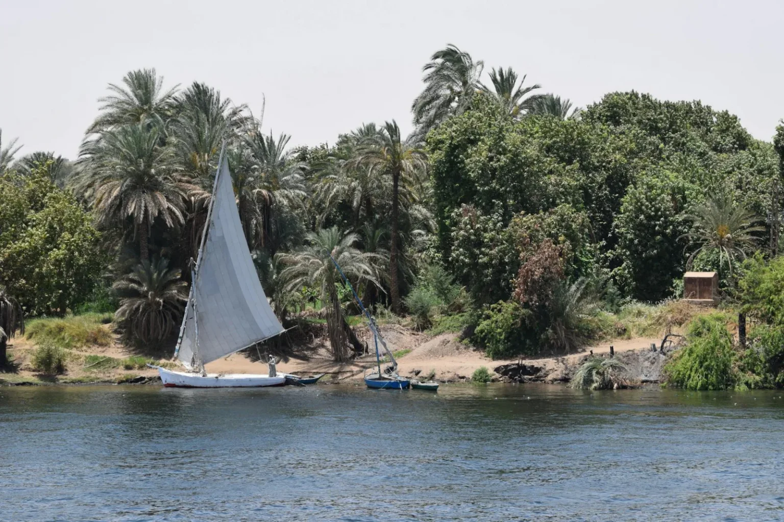 Scenic view of a traditional sailboat on the Nile River with lush greenery.