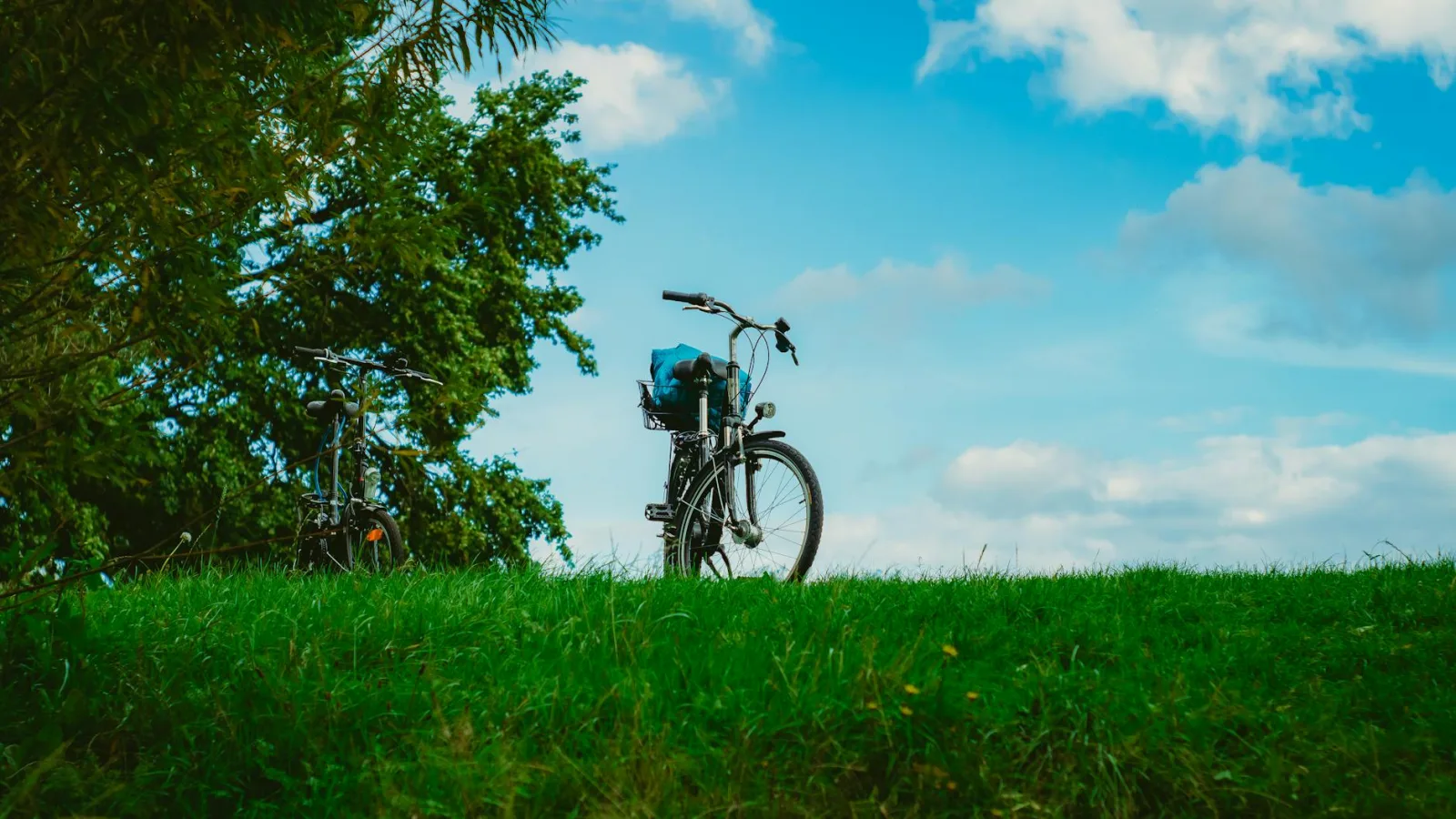 Two bicycles parked on a grassy hill under a clear blue sky, surrounded by lush greenery.