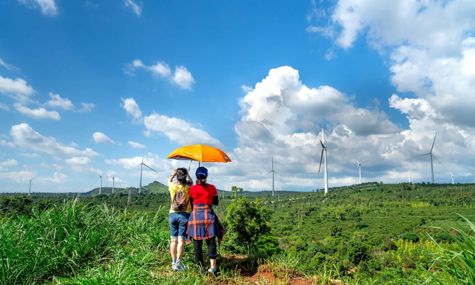 Two people under an umbrella view wind turbines on a sunny rural hillside.