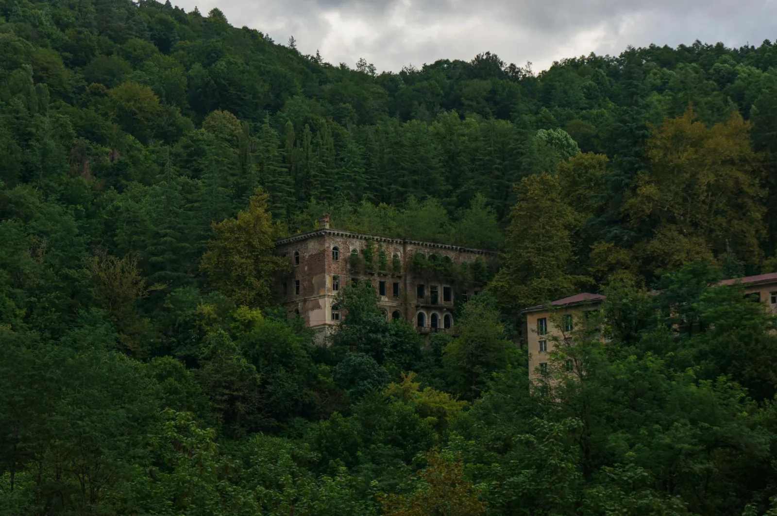 An abandoned building nestled within a lush forest in Ткварчели, Georgia, showcasing nature's reclaim.
