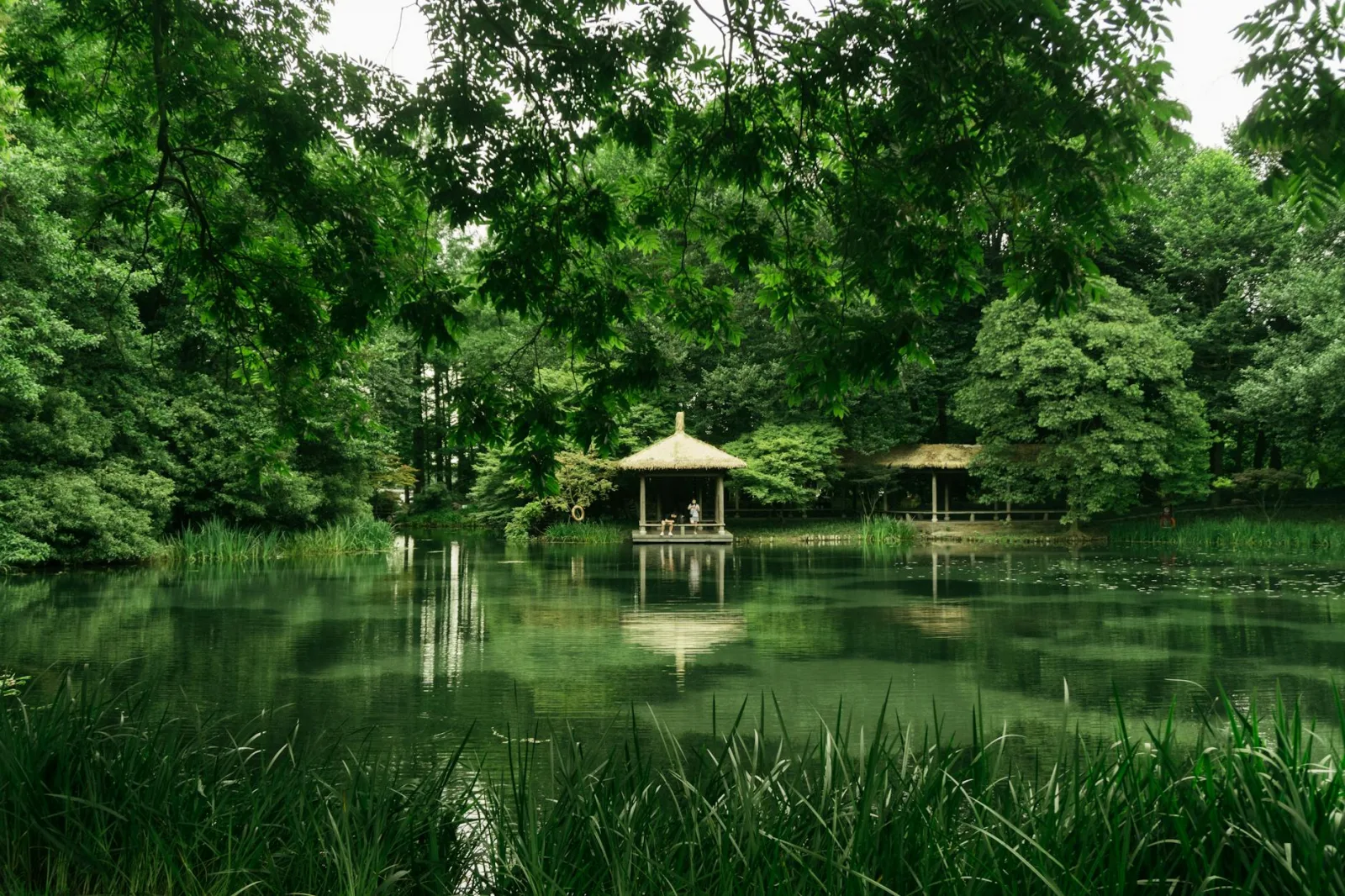 Explore a tranquil park scene with lush trees and a serene pond with gazebos.