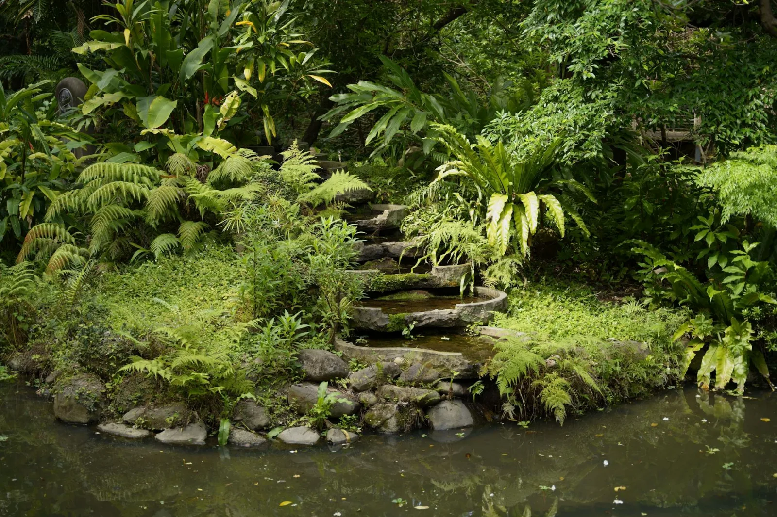 Serene view of a garden in Taipei with lush foliage and stone pathway by a pond.