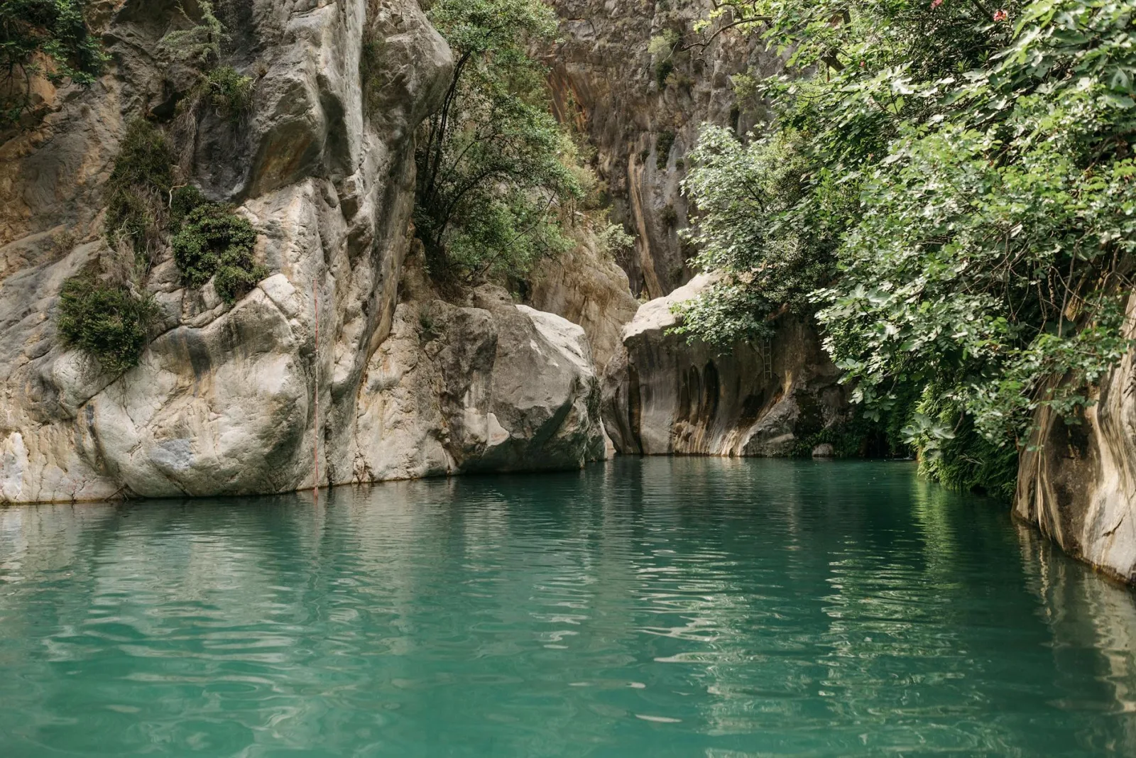 Explore the tranquil setting of a canyon with turquoise waters and lush greenery.