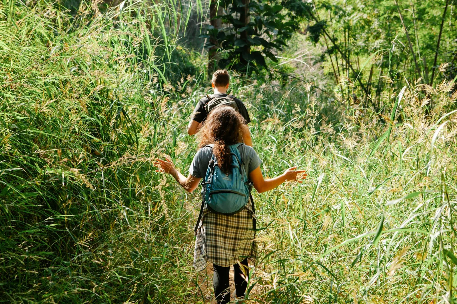 Back view of unrecognizable couple of tourists walking on narrow pathway between bright grass in back lit