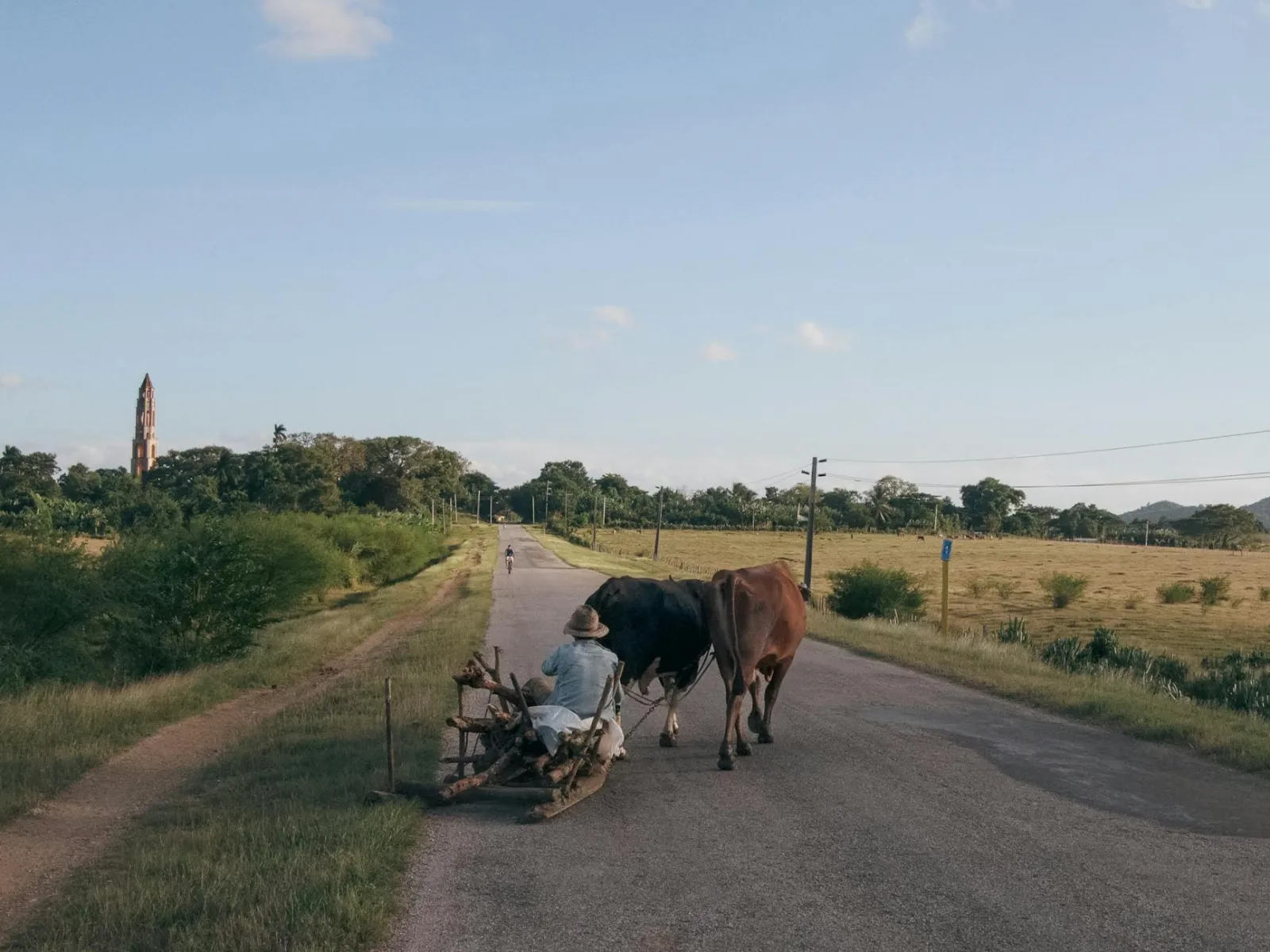 A rural landscape featuring a man on an ox-drawn cart riding along a country road under a clear sky.