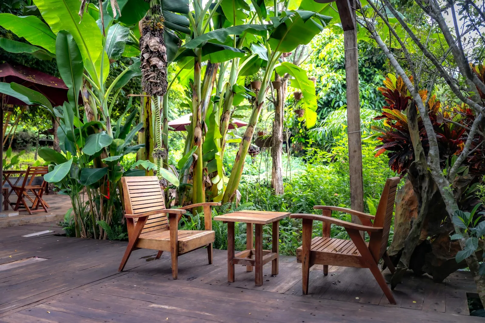 Two wooden armchairs and table in a lush tropical garden under banana trees.