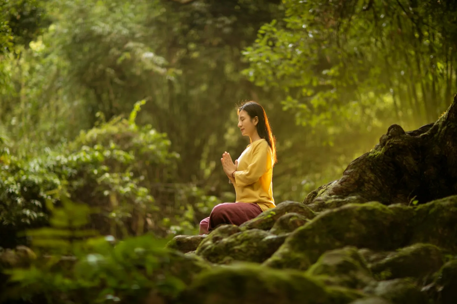 A woman meditates peacefully in a sunlit forest, embodying tranquility and connection with nature.