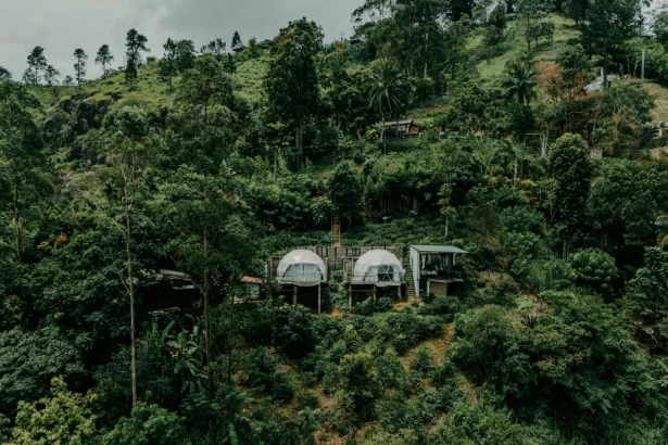 Aerial shot of eco-friendly huts nestled in lush greenery in the Sri Lankan hills, perfect for eco-travelers.