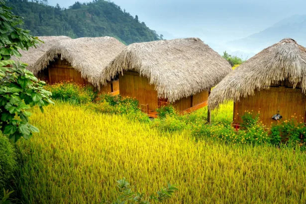 Scenic view of rustic huts surrounded by lush greenery in a tropical landscape.