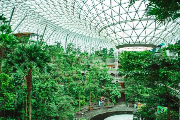 Discover the lush indoor greenery of the Shiseido Forest Valley at Jewel Changi Airport in Singapore.