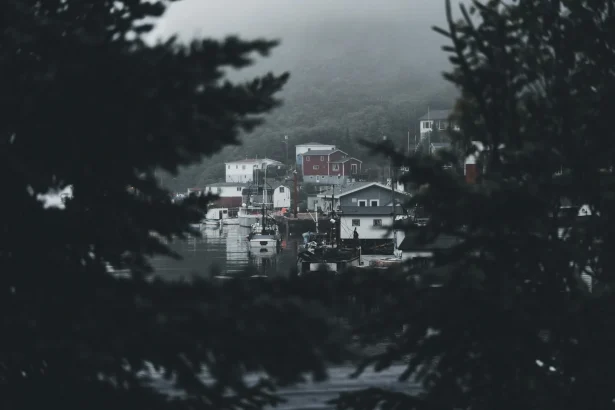 A misty fishing village with boats moored in a calm harbor surrounded by dense greenery.