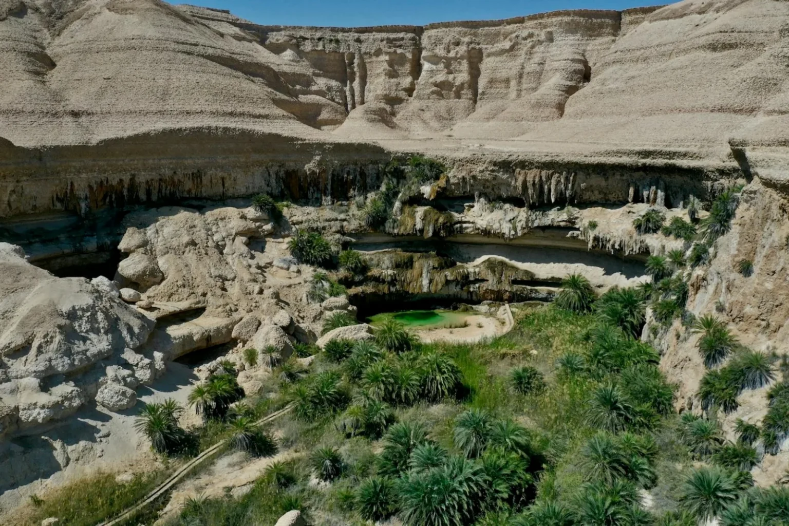 Stunning aerial shot capturing a natural oasis hidden within Oman's rugged limestone landscape.